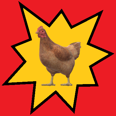 Dr. Chicken Expert